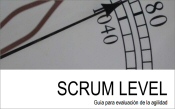 Scrum Level