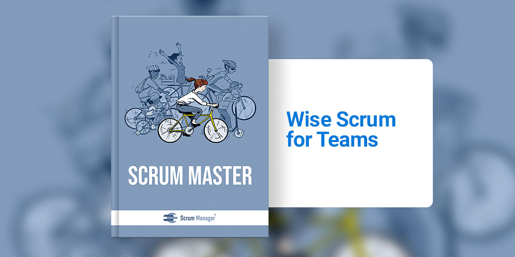 Scrum Master Guide