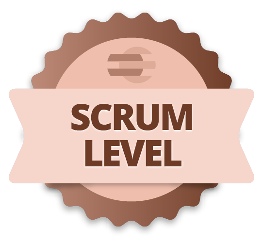 File:Scrum level.png